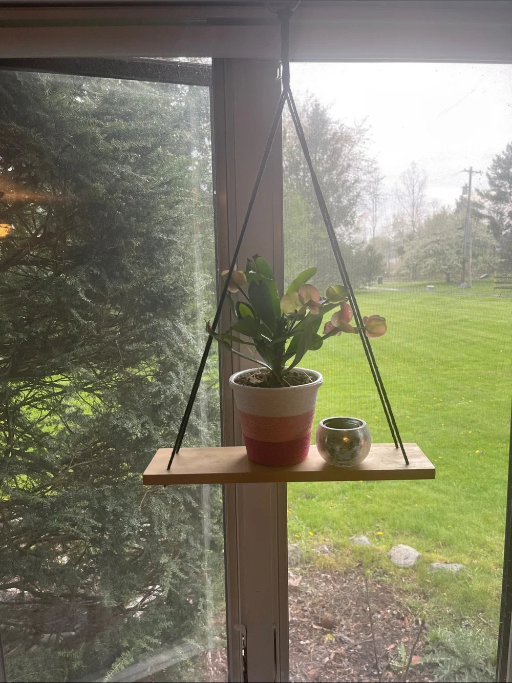 Hanging Wall Display Shelf in Natural Wood with Black Rope, stain or paint